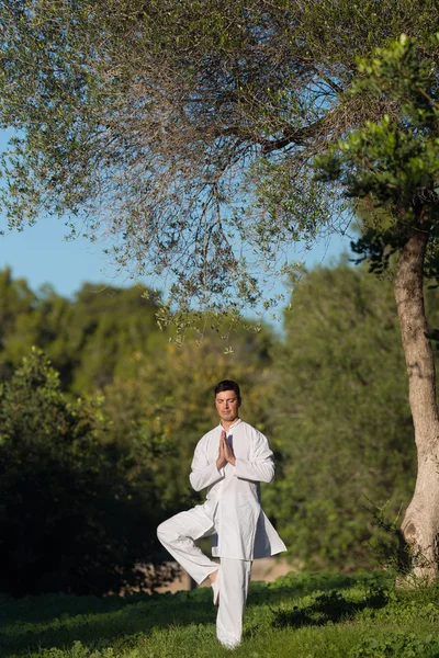 Jeune homme faisant du yoga dans le parc Images De Stock Libres De Droits