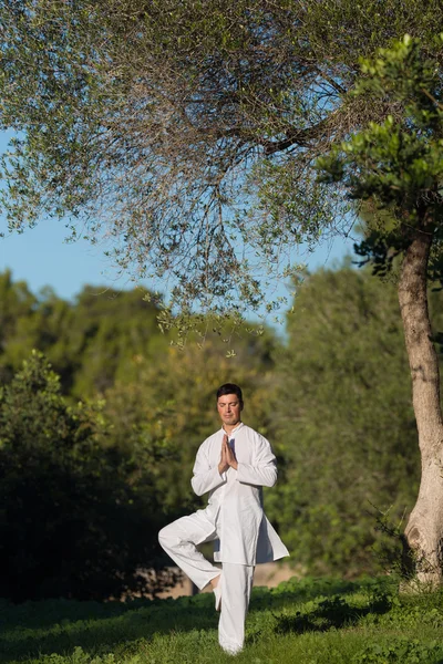 Ung man gör yoga i parken Royaltyfria Stockbilder