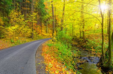 Güzel doğa parkı ile rehberlik yolu