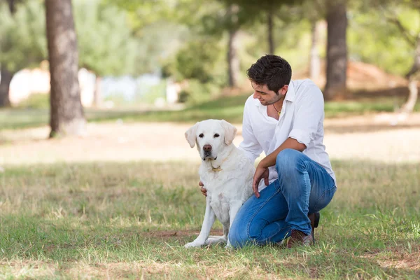 Młody człowiek z stary starszy pies labrador w naturze — Zdjęcie stockowe