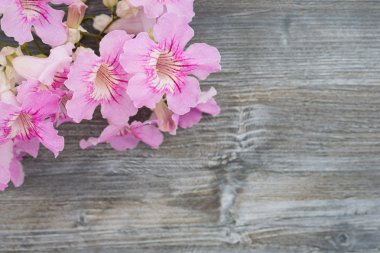 tebrik kartı vintage çiçekler ile ahşap arka plan bulanık