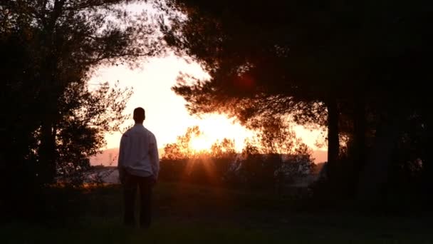 Man in halve silhouet die de uitdaging van succes in een stedelijke scène — Stockvideo