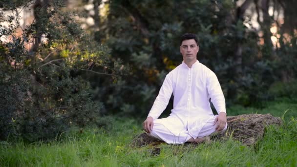 Hombre joven meditando en el parque — Vídeos de Stock