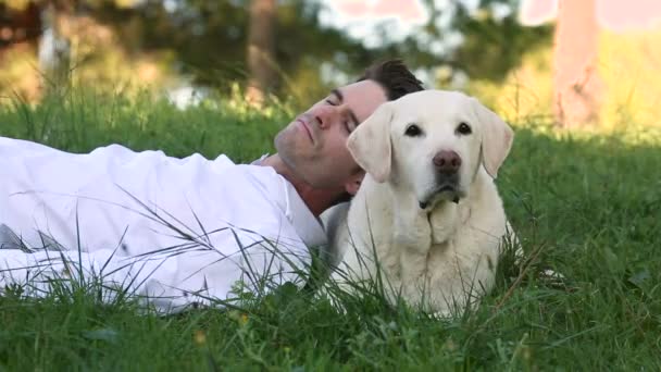 Young man relaxing with his old senior labrador dog in the meadow — Stock Video