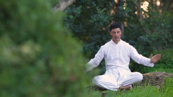 Fiatal latin férfi ül a parkban, és meditál — Stock videók