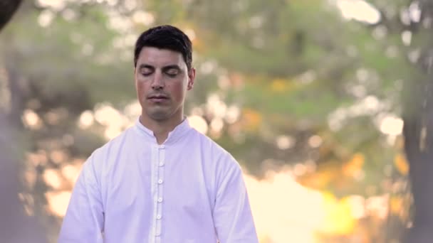Cabeça e ombros de homens meditando na natureza — Vídeo de Stock
