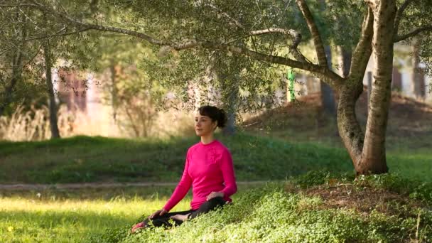 Jovem mulher meditando na natureza — Vídeo de Stock