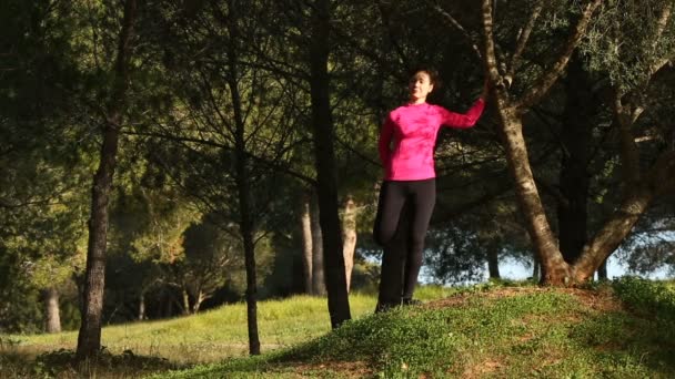 Young women doing stretching exercising in the park — Stock Video