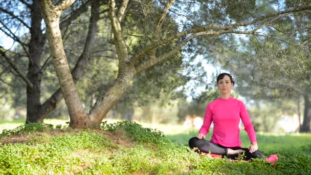 Jeune femme caucasienne pratiquant la méditation dans le parc — Video