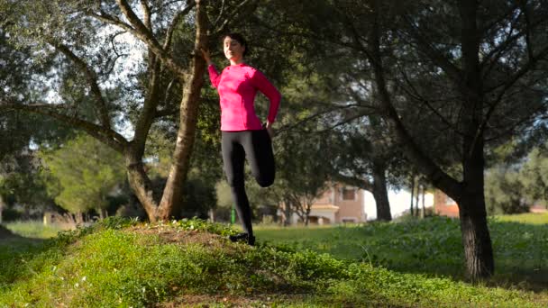 Vrouwen doen zich het uitrekken uit te oefenen in het park — Stockvideo