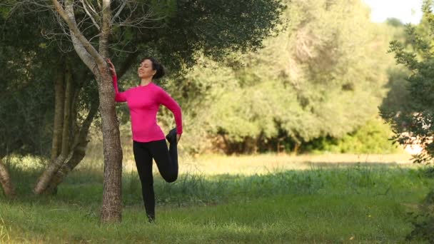 Спортивные женщины делают упражнения на растяжку в парке — стоковое видео