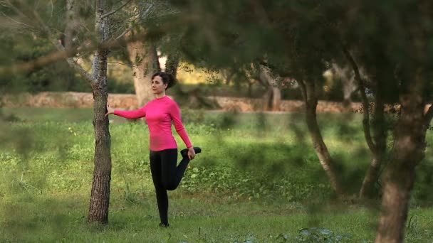 Vackra kvinnor gör stretching utövar i naturen — Stockvideo