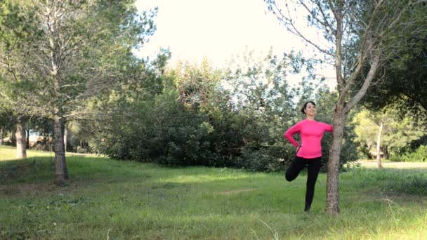 Young women doing fitness exercise outdoors in the nature — Stock Video