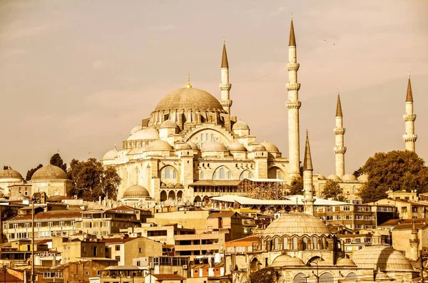 Türkiye 'de İstanbul tarihi mimarisi, Süleyman Camii tepesinde (Osmanlı İmparatorluğu Camii), sabahın erken saatlerinde
