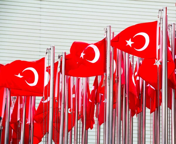 Türk Bayrakları Duvara Karşı — Stok fotoğraf