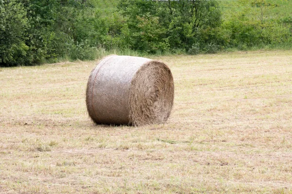 草原の中の藁の丸い玉 — ストック写真