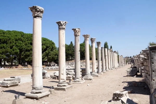Rangée Colonnes Ruines Antiques Ephèse Turquie — Photo