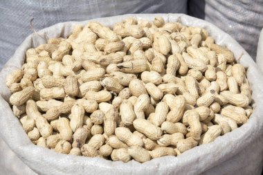 Bir çuval fıstık.