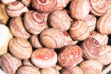 Yumurta şekilli kayalar üst üste yığılmış.