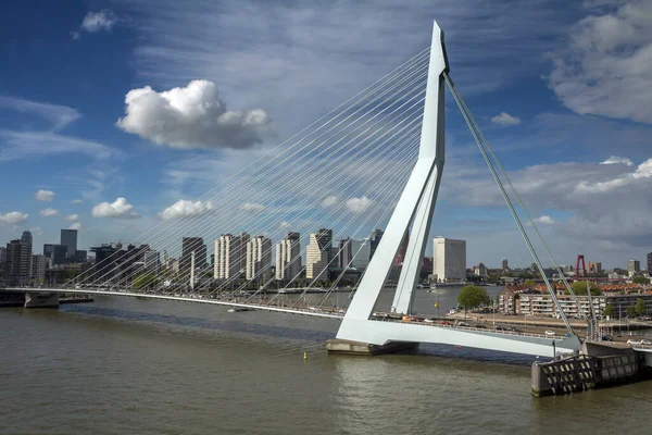 Rotterdam Paesi Bassi Ponte Erasmus Sul Fiume Maas Nei Paesi — Foto Stock