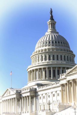 ABD Kongre Binası, Washington DC