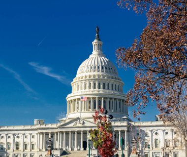 US Capitol building, Washington DC clipart