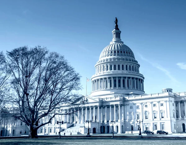 Edificio Del Capitolio Estados Unidos Washington —  Fotos de Stock
