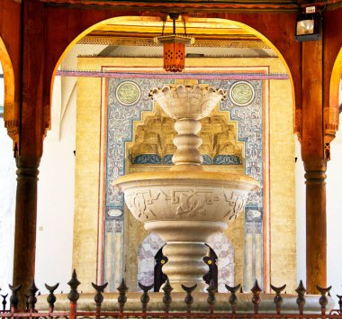 Saraybosna ve Gazi Husrev Camii Baskarsiya 'da