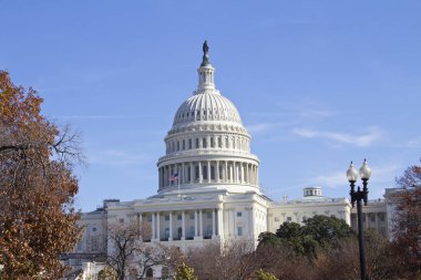 ABD Kongre Binası, Washington DC
