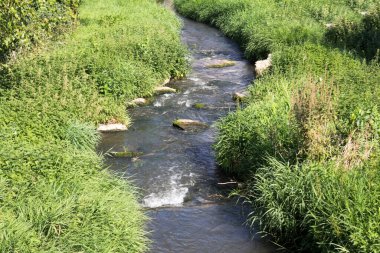 Küçük kıvrımlı bir deresi olan kırsal alan.
