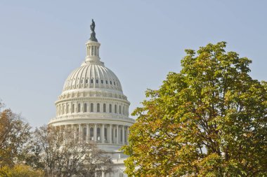 ABD Kongre Binası, Washington DC