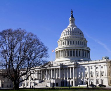 ABD Kongre Binası, Washington DC