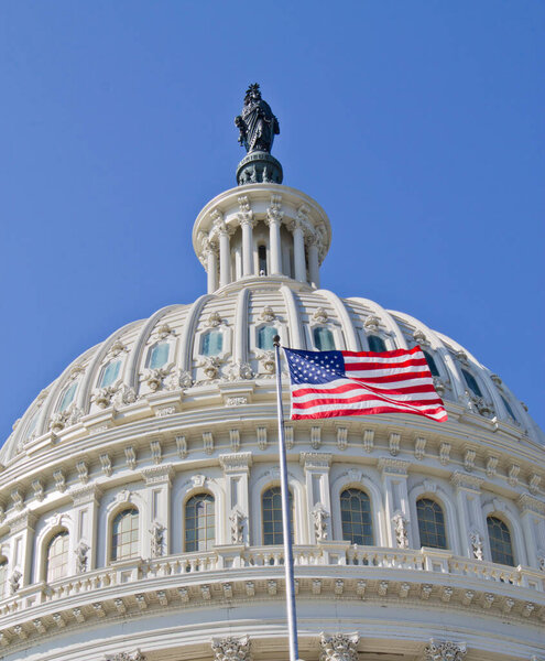 Capitol Building in Washington DC USA