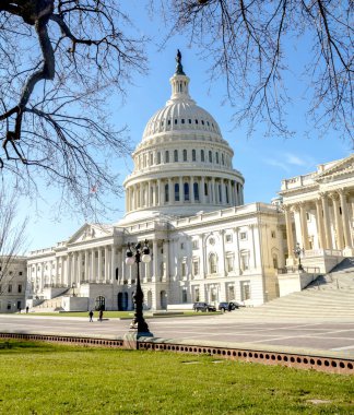 Washington DC 'deki Kongre Binası, ABD
