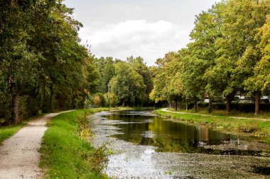 İki tarafında kanalı olan ağaçlarla çevrili güzel patika..