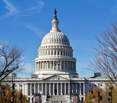 ABD Kongre Binası, Washington DC, ABD