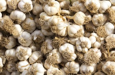 Pazarda taze sarımsak.