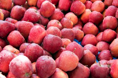 Taze kırmızı elmalar