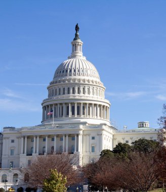 ABD Kongre Binası, Washington DC, ABD