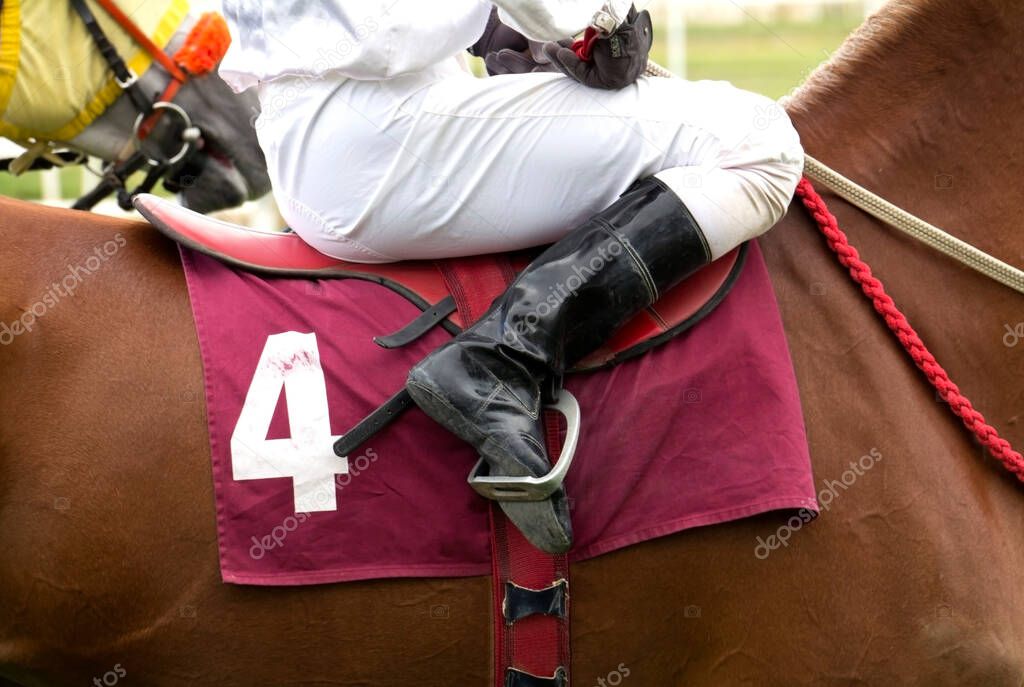 The Number Four Horse Prepares to Enter the Start Gate at Horse Track
