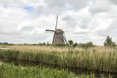 Hollanda 'da Kinderdijk, Rotterdam' daki ünlü turizm sahasında yel değirmenleri olan kırsal bölge. Eski Hollanda köyü Kinderdijk, UNESCO dünya mirası sahası.
