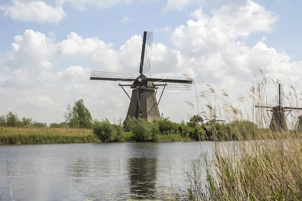 Die Ländliche Landschaft Der Niederlande Mit Windmühlen Berühmten Touristenort Kinderdijk — Stockfoto