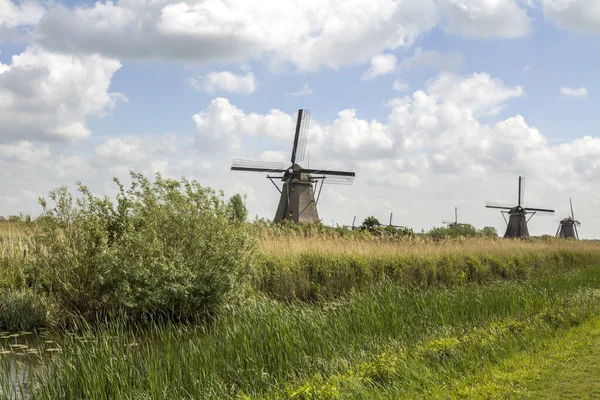 Die Ländliche Landschaft Der Niederlande Mit Windmühlen Berühmten Touristenort Kinderdijk — Stockfoto