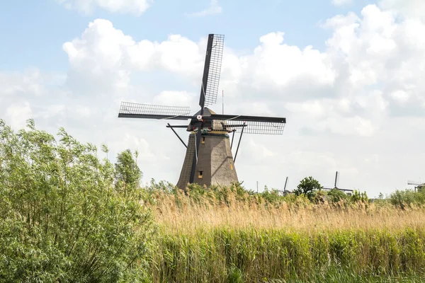 Die Ländliche Landschaft Der Niederlande Mit Windmühlen Berühmten Touristenort Kinderdijk — Stockfoto