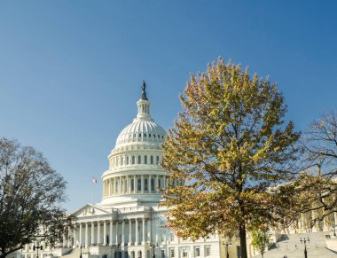 Washington DC 'deki Kongre Binası, ABD