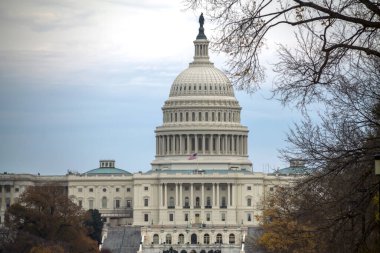 Washington DC 'deki Kongre Binası, ABD