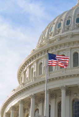 Washington DC 'deki Kongre Binası, ABD