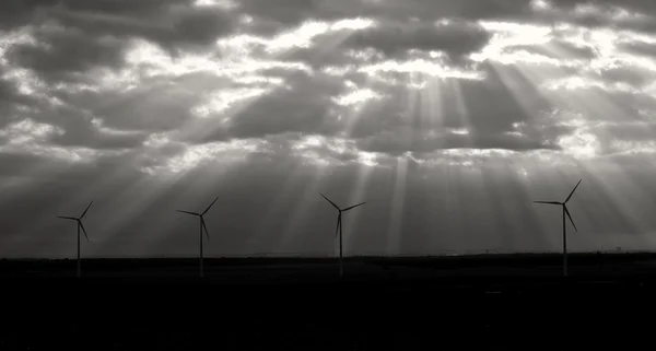 Sustainable Future — Stock Photo, Image