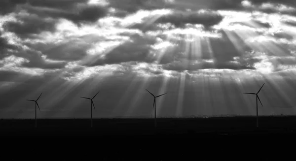 Sustainable Future — Stock Photo, Image