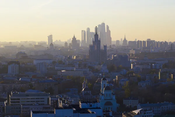 Le paysage de la nature et des parcs urbains — Photo